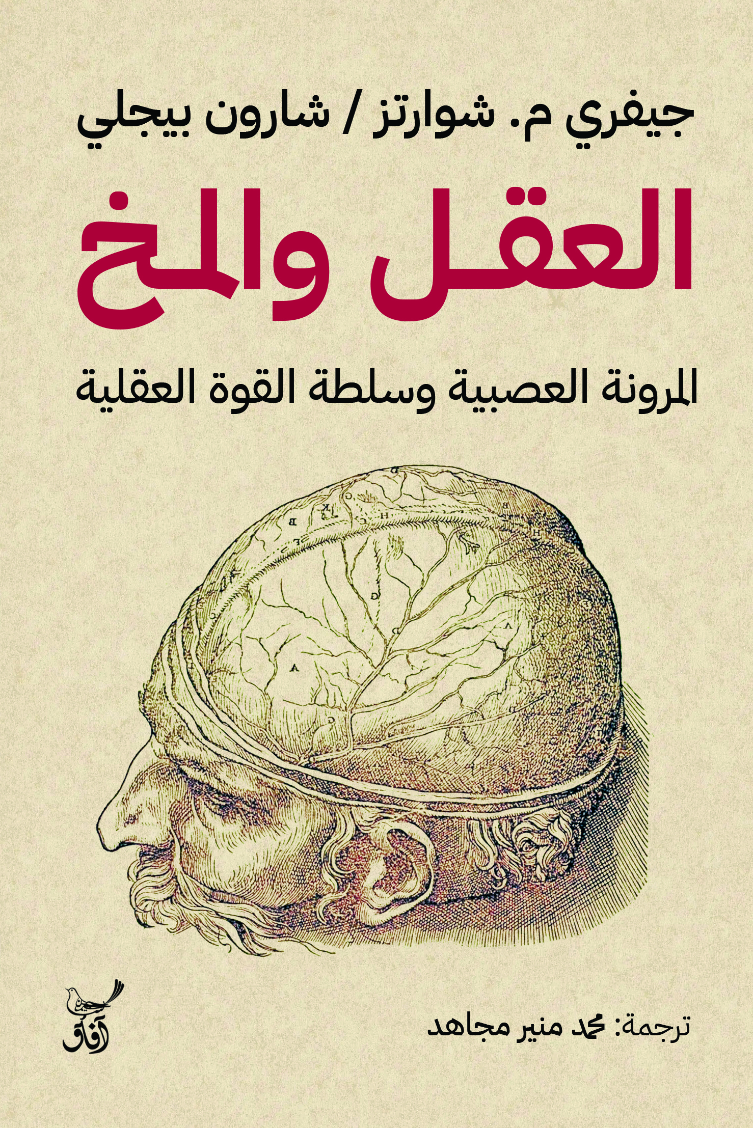 العقل والمخ: المرونة العصبية وسلطة القوة العقلية